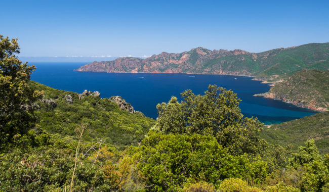 Osani, France - GPS 42.328595, 8.635635 - Panasonic GH4 + Panasonic Lumix G Vario 12-35mm/2,8 OIS - 26mm - 1/100 - f/8.0 - ISO200