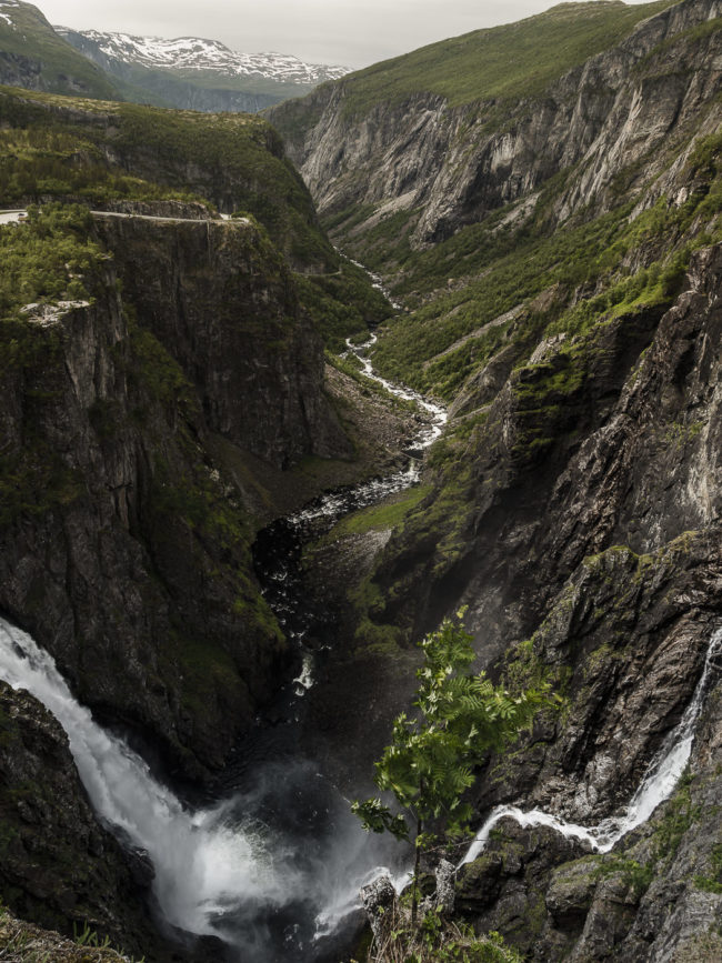 Garden, Norway - GPS 60.427437, 7.253603 - Panasonic GH4 + Panasonic Lumix G Vario 12-35mm/2,8 OIS - 24mm - 1/40 - f/8.0 - ISO100