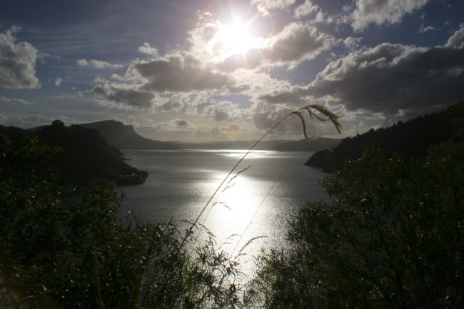 New Zealand, New Zealand - GPS -38.749628, 177.130627 - Canon EOS 20D + Canon EF-S 17-85mm f/4-5.6 IS USM -  - 0/1 - f/8.0 - ISO100