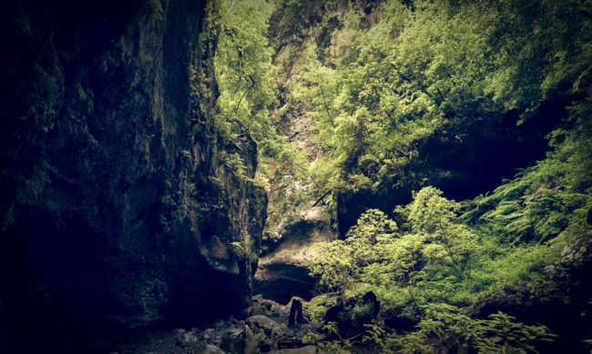 Orotava, Spain - GPS 28.788667, -17.802207 - Panasonic GH4 + Panasonic Lumix G Vario 12-35mm/2,8 OIS - 24mm - 1/30 - f/2.8 - ISO800