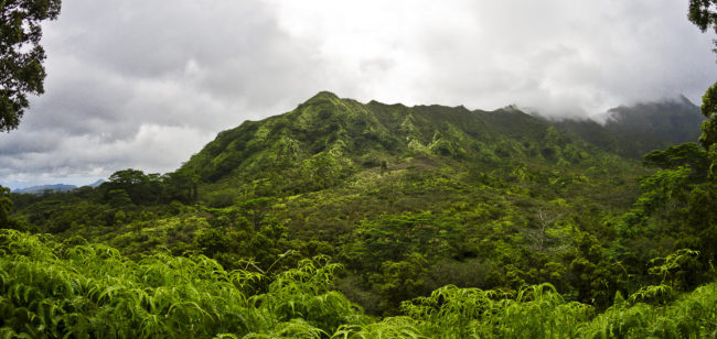 Hanamā`ulu Ahupua`a, Hawaii - GPS 22.057272, -159.463547 - Canon EOS 7D + Sigma 17-50mm, F2,8 EX DC OS HSM -  - 1/800 - f/2.8 - ISO100
