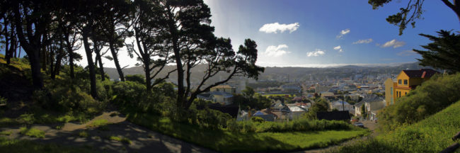 Roseneath, New Zealand - GPS -41.290998, 174.798392 - Canon EOS 20D + Canon EF-S 17-85mm f/4-5.6 IS USM -  - 0/1 - f/8.0 - ISO100