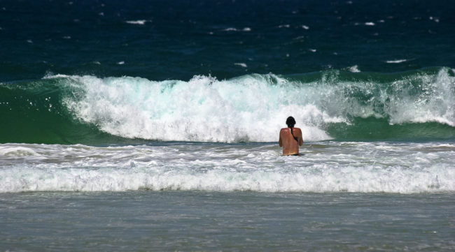 Sardinia Bay Nature Reserve, South Africa - GPS -34.034723, 25.498307 - Canon EOS 20D + Canon EF-S 17-85mm f/4-5.6 IS USM -  - 1/100 - f/8.0 - ISO100