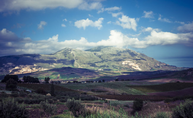 Buseto Superiore, Italy - GPS 37.998288, 12.720507 - Panasonic GH4 + Panasonic Lumix G Vario 12-35mm/2,8 OIS - 40mm - 1/160 - f/8.0 - ISO200