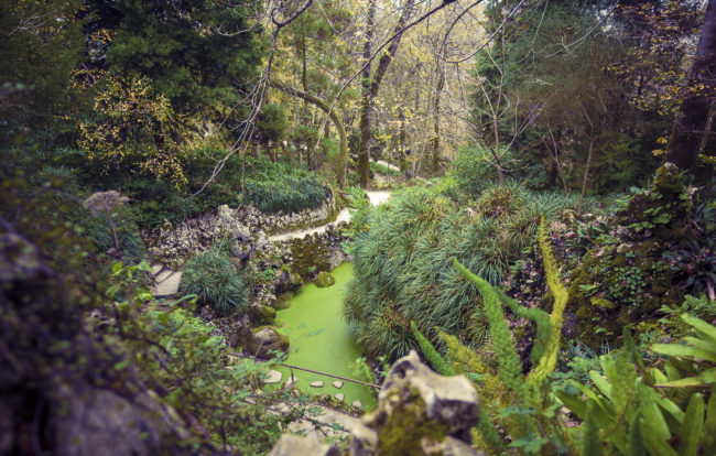 Ponte do Almagre, Portugal - GPS 38.794823, -9.396348 - Panasonic GH4 + Panasonic LEICA DG SUMMILUX 12mm f1.4 - 24mm - 1/125 - f/1.4 - ISO200