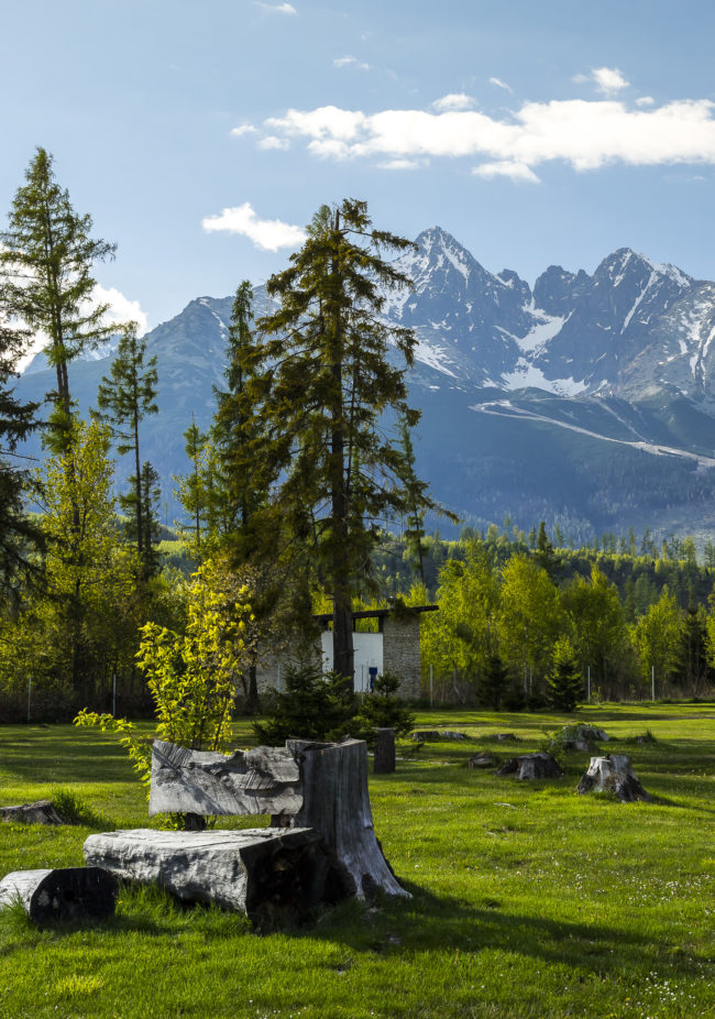 Tatranská Lomnica, Slovenia - GPS 49.148748, 20.282973 - Panasonic GH4 + Panasonic Lumix G Vario 12-35mm/2,8 OIS - 66mm - 1/160 - f/8.0 - ISO200