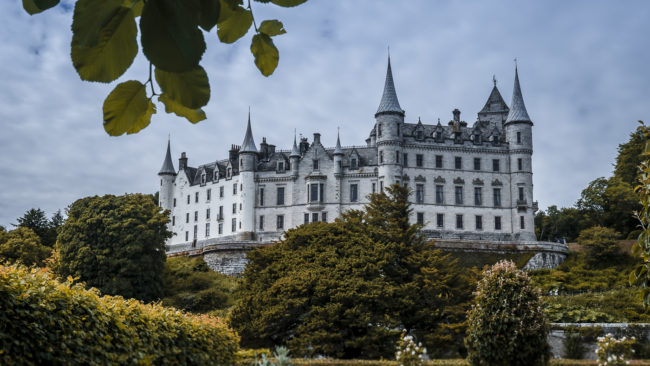 Backies, United Kingdom - GPS 57.982500, -3.946112 - Panasonic Lumix DMC-GH5 + Panasonic Lumix G Vario 12-35mm/2,8 OIS - 50mm - 1/1000 - f/8.0 - ISO200