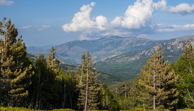 Cristinacce, France - GPS 42.290548, 8.878927 - Panasonic GH4 + Panasonic Lumix G Vario 12-35mm/2,8 OIS - 54mm - 1/160 - f/8.0 - ISO200