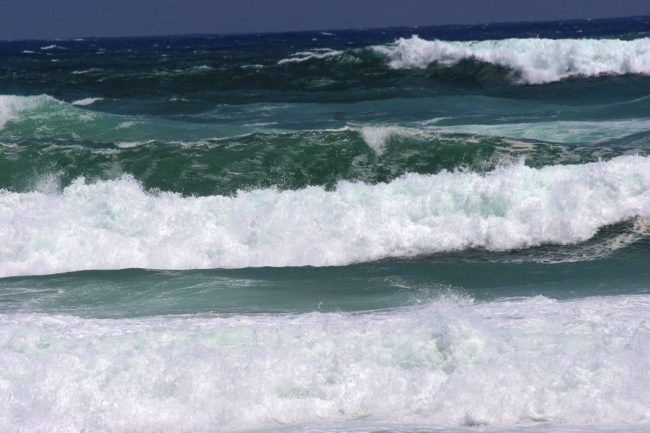 Oranoa, New Zealand - GPS -35.668348, 173.478885 - Canon EOS 20D + Canon EF-S 17-85mm f/4-5.6 IS USM -  - 1/100 - f/8.0 - ISO100