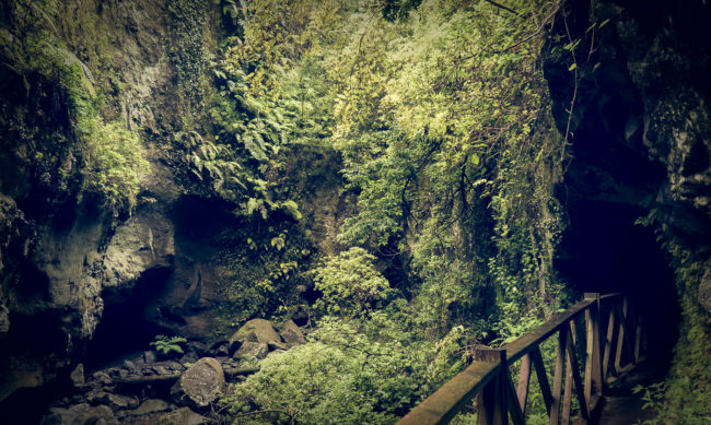 Orotava, Spain - GPS 28.788667, -17.802207 - Panasonic GH4 + Panasonic Lumix G Vario 12-35mm/2,8 OIS - 28mm - 1/30 - f/2.8 - ISO800