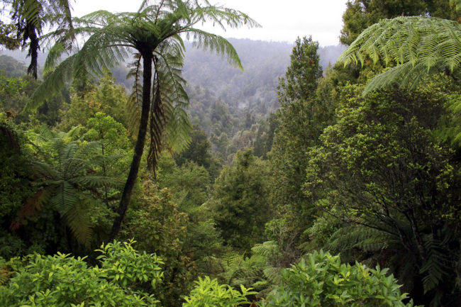 Whangamomona, New Zealand - GPS -39.176085, 174.744737 - Canon EOS 20D + Canon EF-S 17-85mm f/4-5.6 IS USM -  - 1/100 - f/8.0 - ISO100