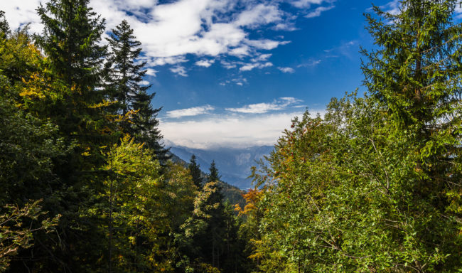 Savica, Slovenia - GPS 46.252283, 14.004428 - Canon EOS 7D + Tokina AF 11-16mm f/2.8 AT-X Pro DX -  - 1/250 - f/8.0 - ISO100