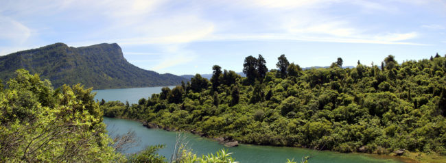 Waikaremoana, New Zealand - GPS -38.749420, 177.157550 - Canon EOS 20D + Canon EF-S 17-85mm f/4-5.6 IS USM -  - 0/1 - f/8.0 - ISO100