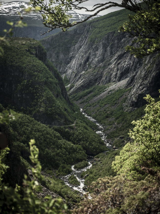 Garden, Norway - GPS 60.427437, 7.253603 - Panasonic GH4 + Panasonic Lumix G Vario 12-35mm/2,8 OIS - 66mm - 1/320 - f/2.8 - ISO100