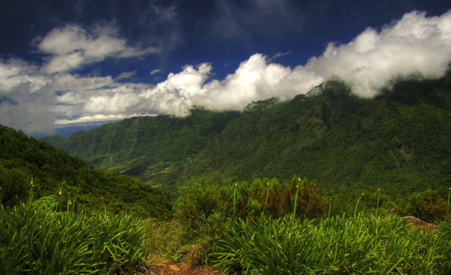 Achadas da Cruz, Portugal - GPS 32.809027, -17.196452 - Canon EOS 20D + Canon EF-S 17-85mm f/4-5.6 IS USM -  - 1/100 - f/8.0 - ISO100