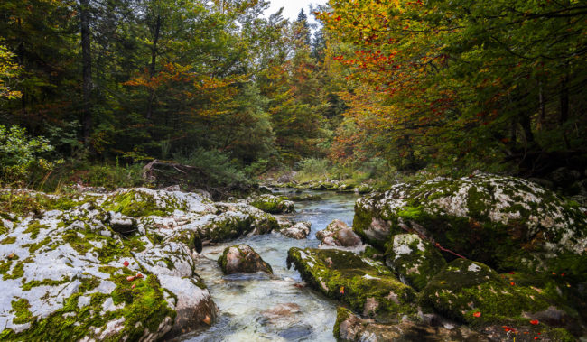Studor v Bohinju, Slovenia - GPS 46.298500, 13.887233 - Canon EOS 7D + Tokina AF 11-16mm f/2.8 AT-X Pro DX -  - 1/40 - f/7.1 - ISO320
