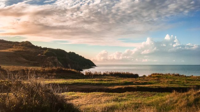 Shetaj, Albania - GPS 41.575225, 19.475581 -  iPhone SE + iPhone SE back camera 4.15mm f/2.2 - 29mm - 1/1250 - f/2.2 - ISO25