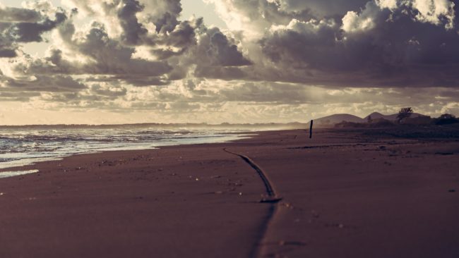 Baks-Rrjoll, Albania - GPS 41.846094, 19.504781 - Sony A7III + SONY FE 24-105mm, F4 G OSS - 105mm - 1/500 - f/4.0 - ISO100