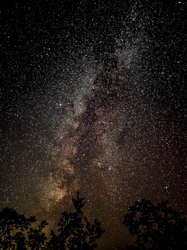 Baran Selo, Montenegro - GPS 42.824845, 18.506993 - Panasonic GH4 + Panasonic LEICA DG SUMMILUX 15mm, f1.7, ASPH - 30mm - 20/1 - f/1.7 - ISO400