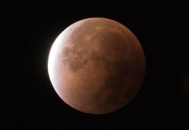 Wallhausen, Germany - GPS 49.214075, 10.071145 - Panasonic GH4 + Panasonic Lumix G Vario 100-300mm f4.0-5.6 OIS - 600mm - 8/10 - f/8.0 - ISO1600